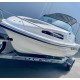 Figlass Dominator 2019 5.2m Murcury 85Hp fourstroke